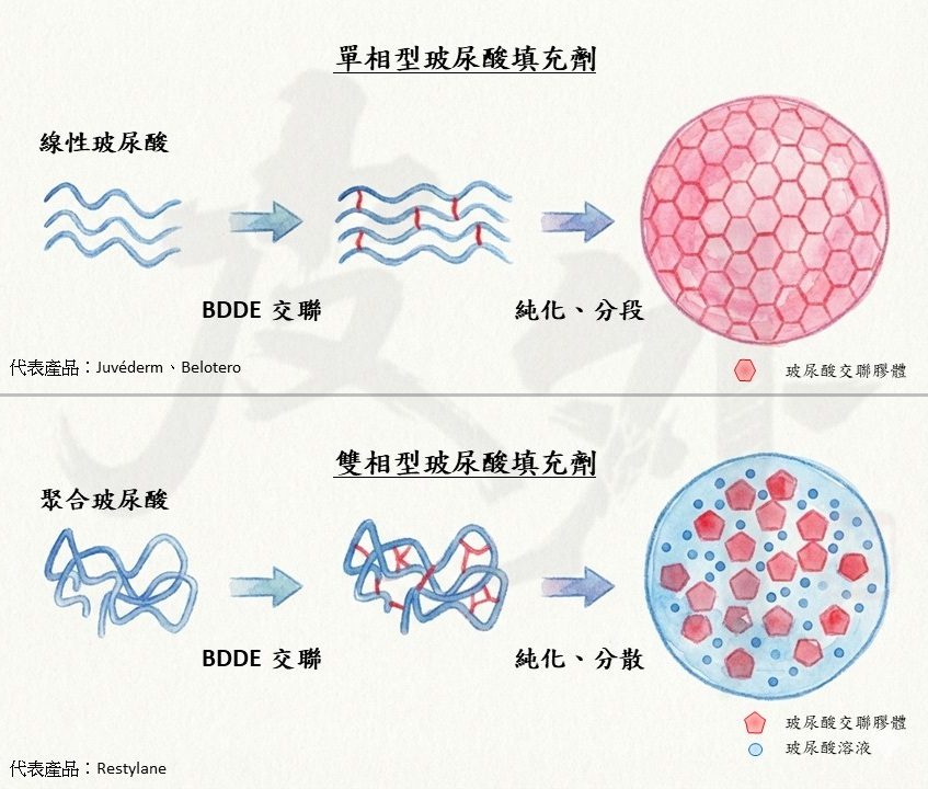 玻尿酸交聯技術